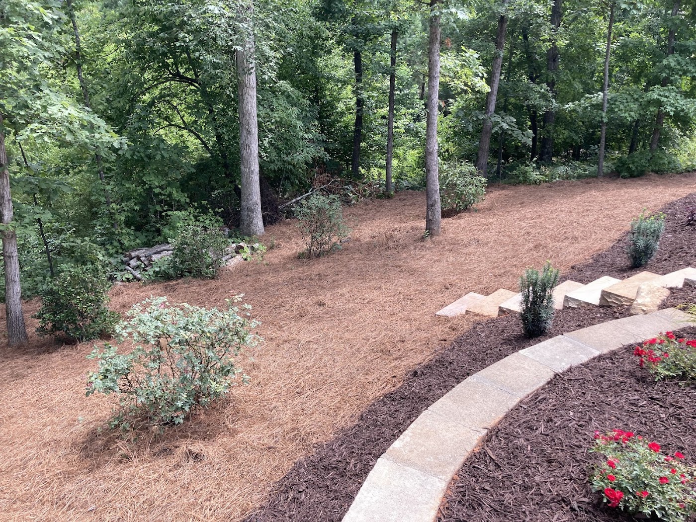 Google Maps review photo showing a clean planting bed edge, shrubs, pine straw, and wooded backyard transition