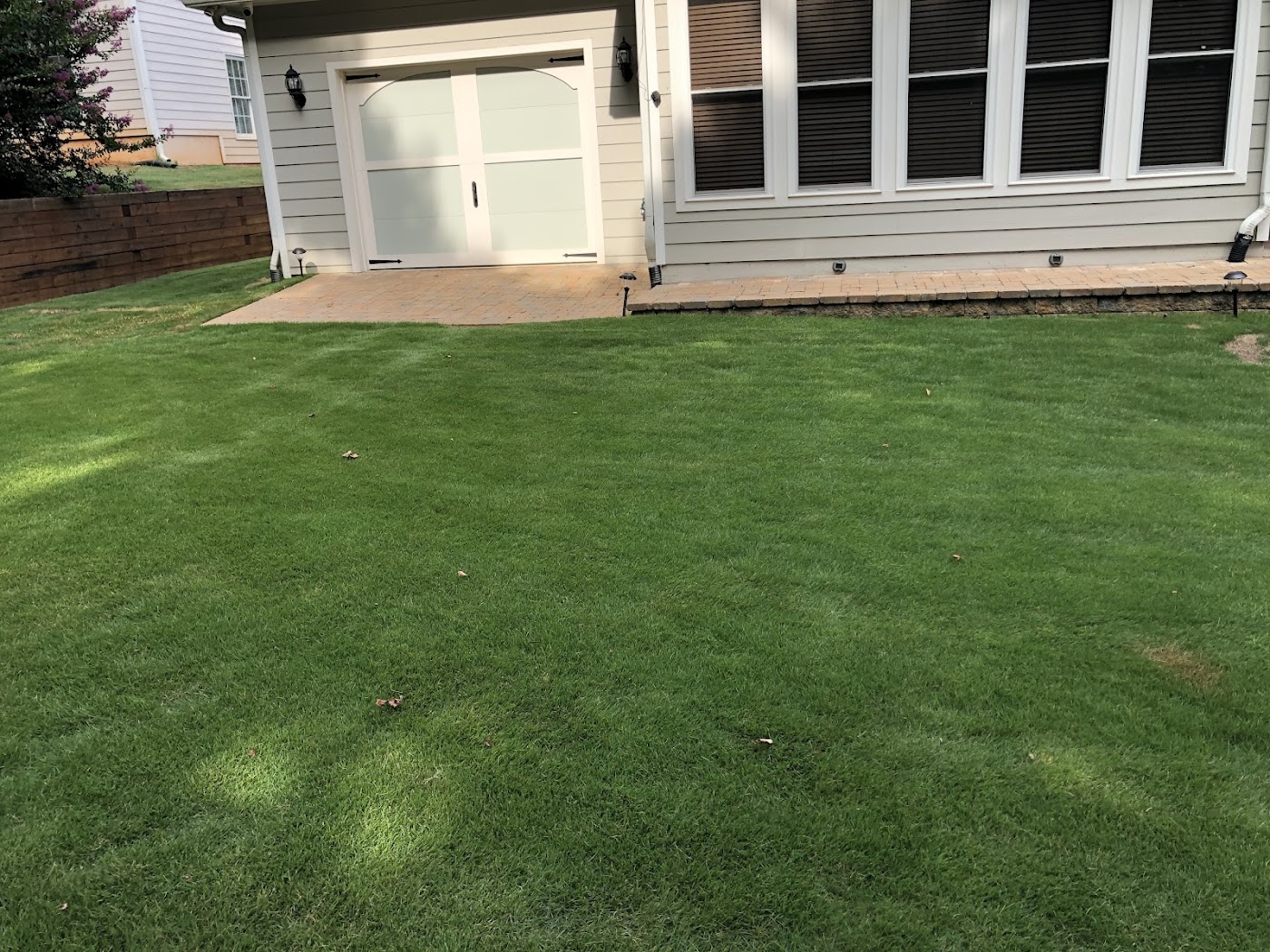 Google Maps review photo showing a finished green lawn after backyard landscape work